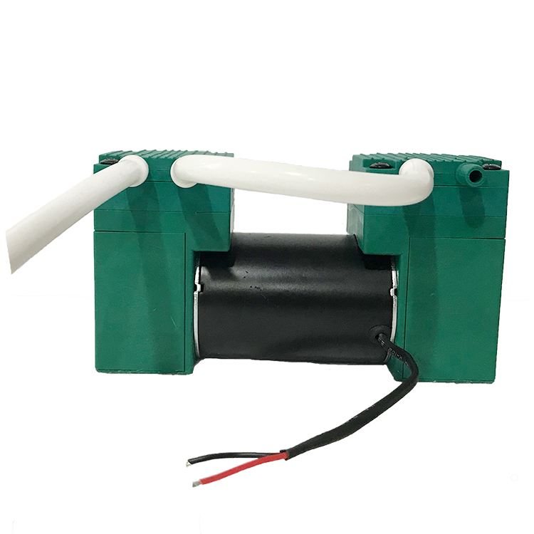 醫(yī)療美容雙吸小型真空泵